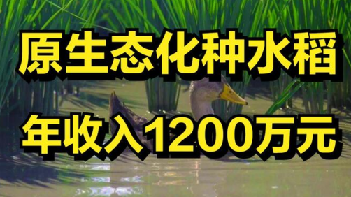 一亩田app官方下载最新版2023