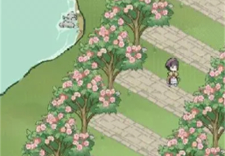 解忧菜市场可以提现吗