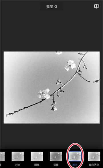 snapseed官方正版免费版2024