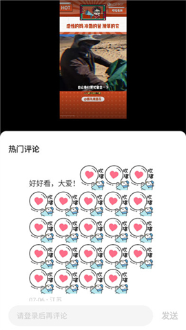 lofter下载安装苹果旧版