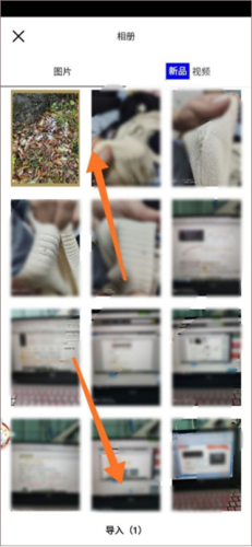 vsco全滤镜解锁高级会员版怎么调滤镜2