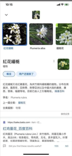 google lens app使用指南7