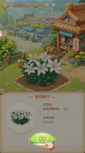 我的花园世界官方版