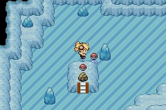 口袋妖怪解放汉化版