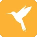 小黄鸟抓包软件官方版