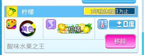 夏日水上乐园物语