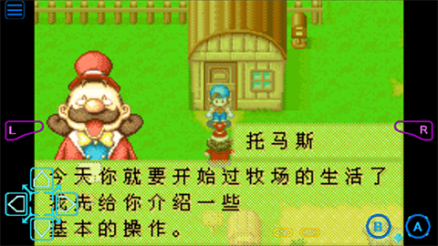 牧场物语矿石镇的伙伴们汉化版