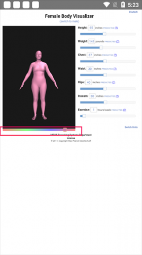 body visualizer