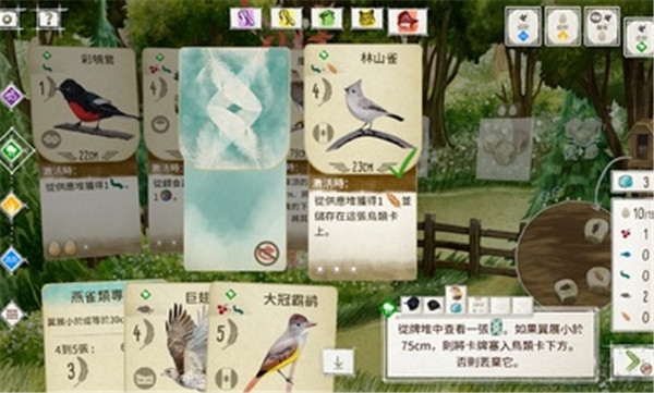 展翅翱翔手机版