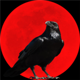 乌鸦之霜官方版