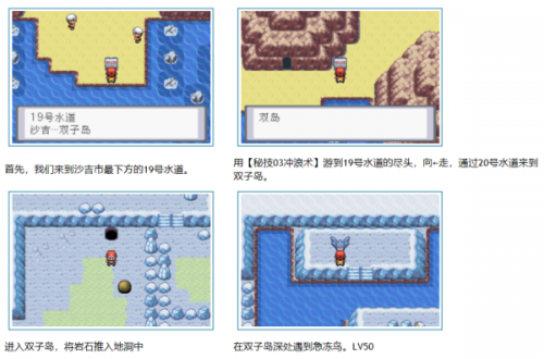 口袋妖怪叶绿386