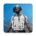 pubg国际服2025手游